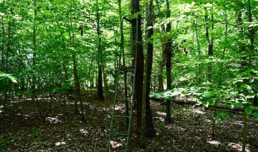 Photo #21 of SOLD property in 0ff Reservior View Dr, Pittsville, VA 5.0 acres