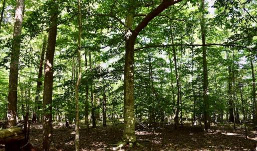 Photo #22 of SOLD property in 0ff Reservior View Dr, Pittsville, VA 5.0 acres