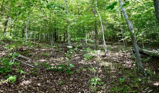 Photo #34 of SOLD property in 0ff Reservior View Dr, Pittsville, VA 5.0 acres
