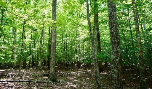Photo #35 of SOLD property in 0ff Reservior View Dr, Pittsville, VA 5.0 acres