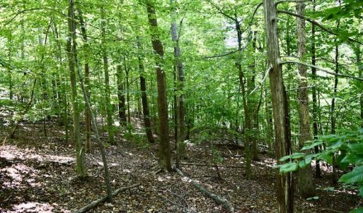 Photo #36 of SOLD property in 0ff Reservior View Dr, Pittsville, VA 5.0 acres