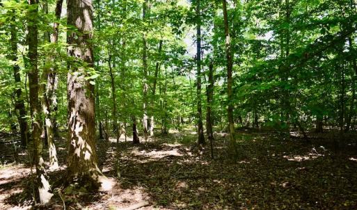 Photo #38 of SOLD property in 0ff Reservior View Dr, Pittsville, VA 5.0 acres