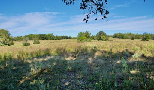 Photo #34 of Off Lowrys Road, Gaffney, SC 579.9 acres
