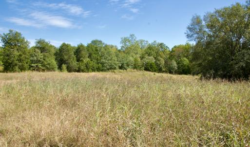 Photo #42 of Off Lowrys Road, Gaffney, SC 579.9 acres