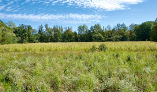 Photo #35 of Off Wilkinsville Hwy (Hwy 105), Gaffney, SC 579.6 acres