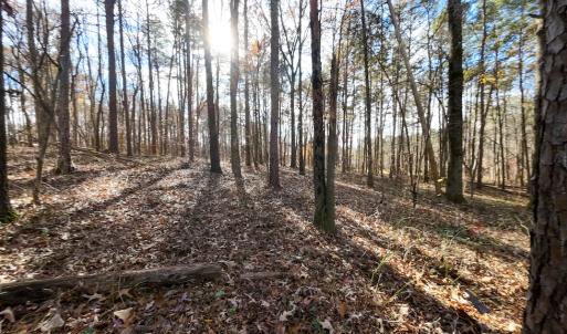 Photo #15 of SOLD property in Off Pageland Hwy, Monroe, NC 0.7 acres