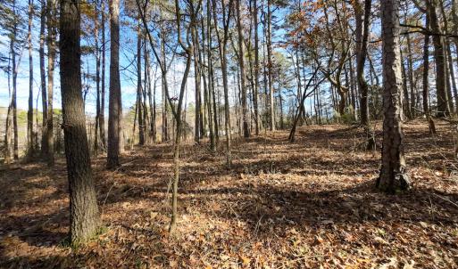 Photo #16 of SOLD property in Off Pageland Hwy, Monroe, NC 0.7 acres