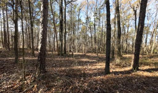 Photo #17 of SOLD property in Off Pageland Hwy, Monroe, NC 0.7 acres