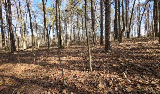 Photo #20 of SOLD property in Off Pageland Hwy, Monroe, NC 0.7 acres