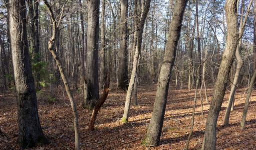 Photo #24 of SOLD property in Off Pageland Hwy, Monroe, NC 0.7 acres