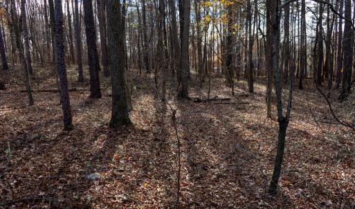 Photo #25 of SOLD property in Off Pageland Hwy, Monroe, NC 0.7 acres