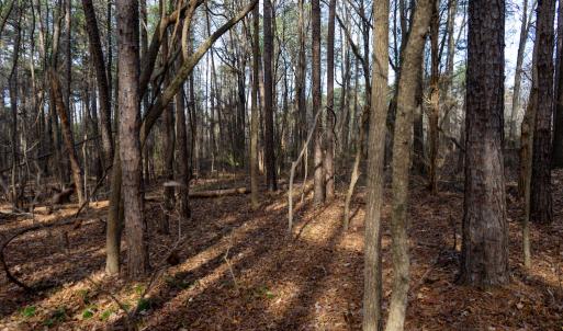 Photo #27 of SOLD property in Off Pageland Hwy, Monroe, NC 0.7 acres