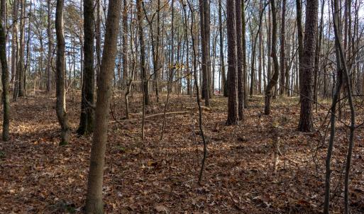 Photo #28 of SOLD property in Off Pageland Hwy, Monroe, NC 0.7 acres