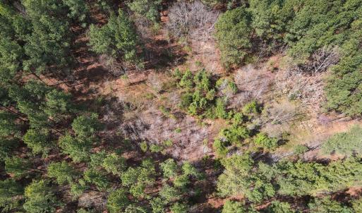 Photo #10 of SOLD property in Off Clinton Rd, Nathalie, VA 21.3 acres