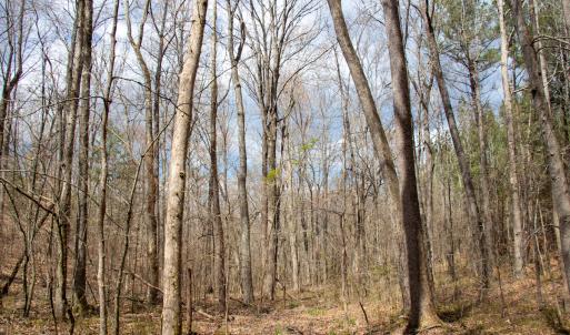 Photo #16 of SOLD property in Off Clinton Rd, Nathalie, VA 21.3 acres