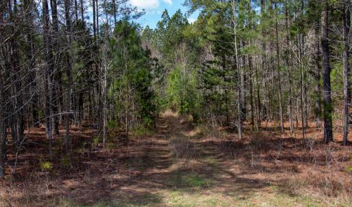 Photo #36 of SOLD property in Off Clinton Rd, Nathalie, VA 21.3 acres