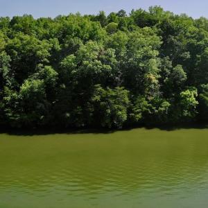 Photo #8 of SOLD property in 0ff Reservior View Dr, Pittsville, VA 5.0 acres