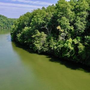 Photo #9 of SOLD property in 0ff Reservior View Dr, Pittsville, VA 5.0 acres