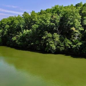 Photo #10 of SOLD property in 0ff Reservior View Dr, Pittsville, VA 5.0 acres
