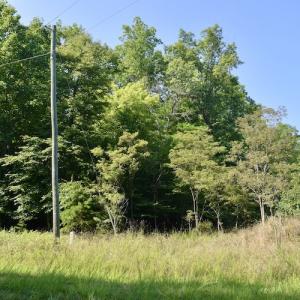 Photo #18 of SOLD property in 0ff Reservior View Dr, Pittsville, VA 5.0 acres