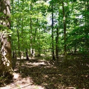 Photo #38 of SOLD property in 0ff Reservior View Dr, Pittsville, VA 5.0 acres