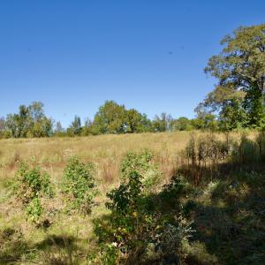 Photo #20 of Off Lowrys Road, Gaffney, SC 579.9 acres