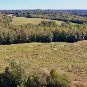 Photo #5 of Off Lowrys Road, Gaffney, SC 579.9 acres