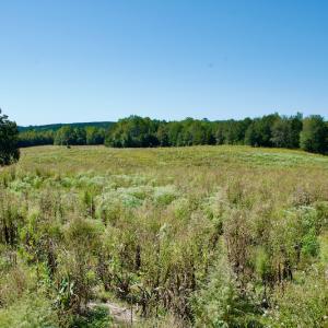 Photo #26 of Off Lowrys Road, Gaffney, SC 579.9 acres