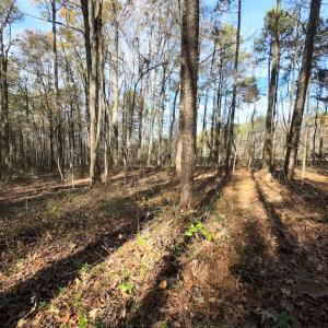 Photo #14 of SOLD property in Off Pageland Hwy, Monroe, NC 0.7 acres