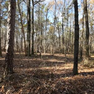 Photo #17 of SOLD property in Off Pageland Hwy, Monroe, NC 0.7 acres