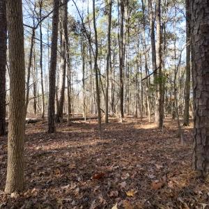 Photo #18 of SOLD property in Off Pageland Hwy, Monroe, NC 0.7 acres