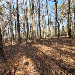 Photo #19 of SOLD property in Off Pageland Hwy, Monroe, NC 0.7 acres