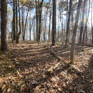 Photo #21 of SOLD property in Off Pageland Hwy, Monroe, NC 0.7 acres