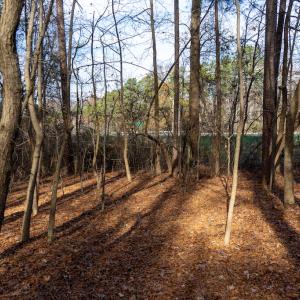 Photo #23 of SOLD property in Off Pageland Hwy, Monroe, NC 0.7 acres