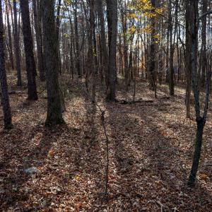 Photo #25 of SOLD property in Off Pageland Hwy, Monroe, NC 0.7 acres