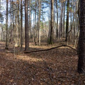 Photo #26 of SOLD property in Off Pageland Hwy, Monroe, NC 0.7 acres