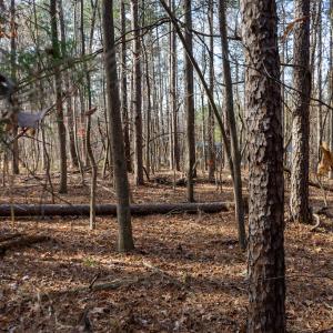 Photo #29 of SOLD property in Off Pageland Hwy, Monroe, NC 0.7 acres
