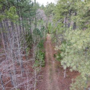 Photo #12 of SOLD property in Off Clinton Rd, Nathalie, VA 21.3 acres