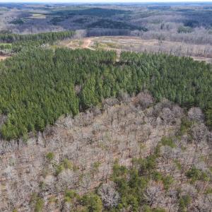Photo #19 of SOLD property in Off Clinton Rd, Nathalie, VA 21.3 acres