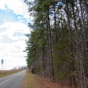 Photo #25 of SOLD property in Off Clinton Rd, Nathalie, VA 21.3 acres
