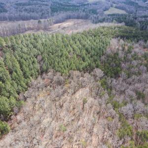 Photo #30 of SOLD property in Off Clinton Rd, Nathalie, VA 21.3 acres