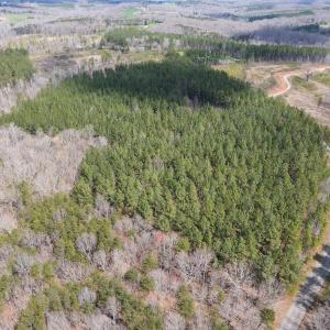 Photo #32 of SOLD property in Off Clinton Rd, Nathalie, VA 21.3 acres