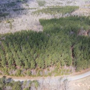 Photo #34 of SOLD property in Off Clinton Rd, Nathalie, VA 21.3 acres