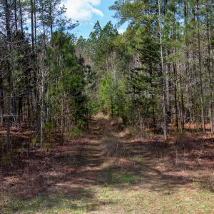 Photo #36 of SOLD property in Off Clinton Rd, Nathalie, VA 21.3 acres